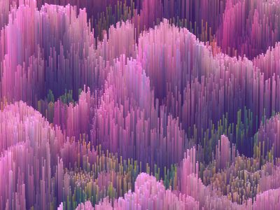 A Very Large Group Of Trees That Are Very Colorful