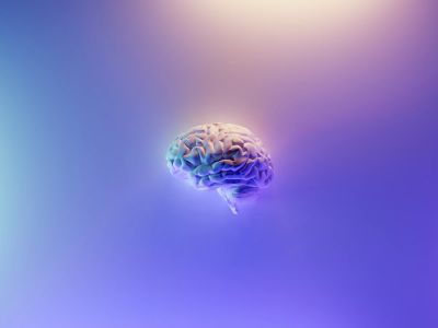 Iridescent Brain Render On Blue Purple Background