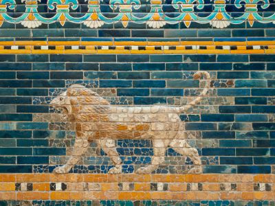 Lion And Lion Wall Art