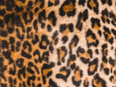 Black And Brown Leopard Print Garment