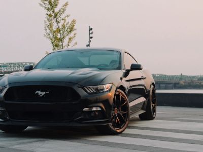 Black Ford Mustang Coupe Parked Near Green Tree