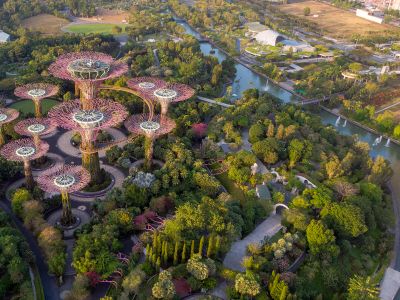 Aerial View Of Trees River And Architectural Landmark