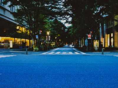 Blue Road In Between Trees During Daytime