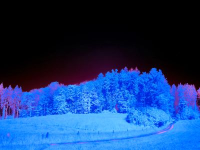 A Field With Trees And A Road In The Middle Of It