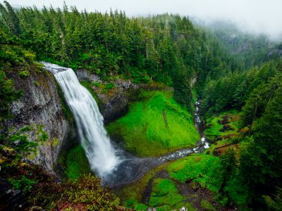 Birds Eye View Photography Of Green Forest