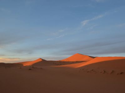 Desert Under Cloudy Sky