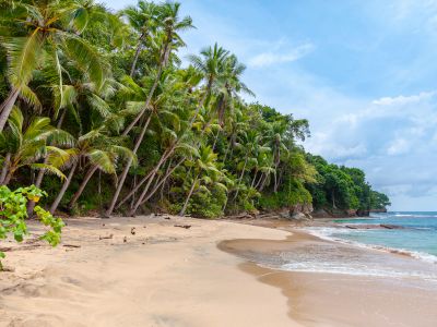 Landscape Photography Of Seashore Under Cumulus Clouds
