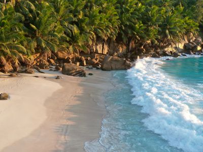 Waves Crashing On Seashore During Daytime