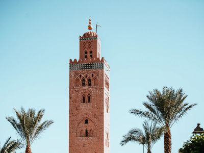 Brown And Gray Bricked Wall Tower Beside Palm Trees