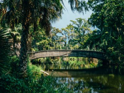 Brown Concrete Bridge Near Green Trees During Daytime Photo
