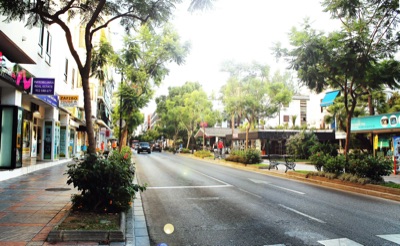 Bustling South Asian Street Market