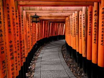 Orange And Black Wooden Fence