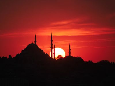 Silhouette Of Trees During Sunset